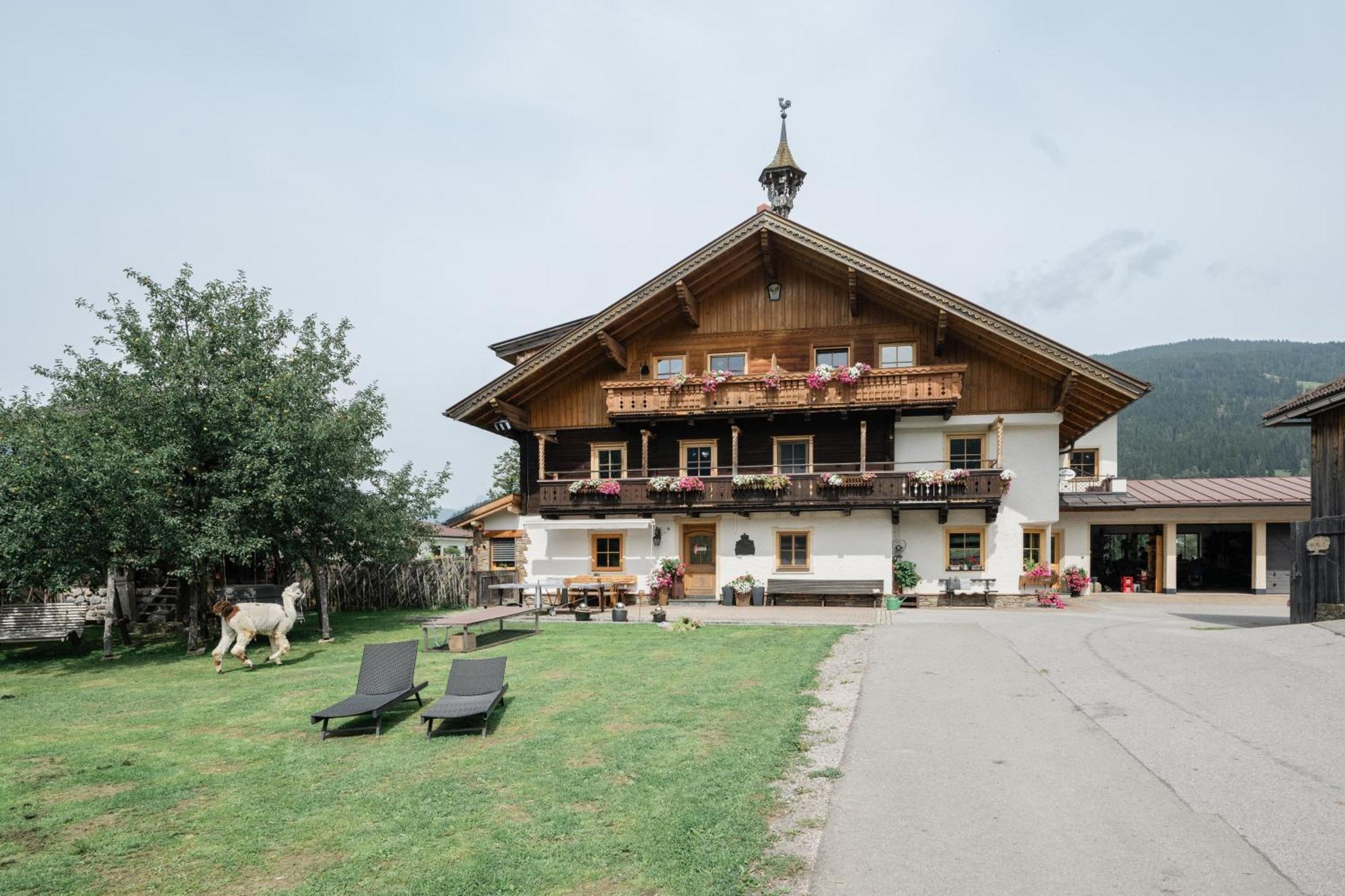 Appartement Arnoldgut Альтенмаркт-ім-Понгау Екстер'єр фото